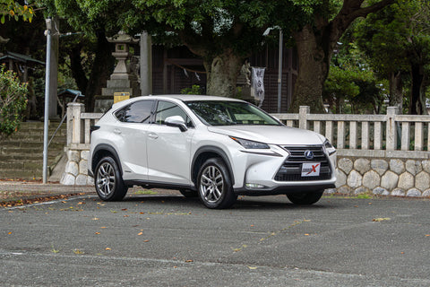 Leuxs NX- 300h Hybrid