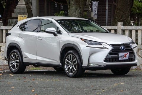 Leuxs NX- 300h Hybrid