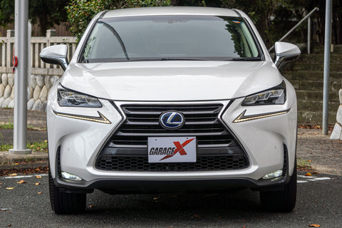 Leuxs NX- 300h Hybrid
