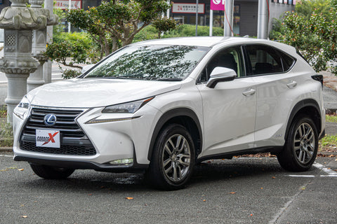 Leuxs NX- 300h Hybrid