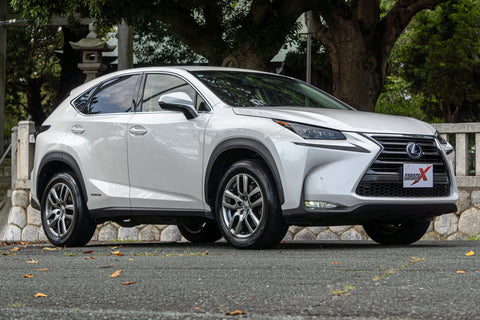 Leuxs NX- 300h Hybrid