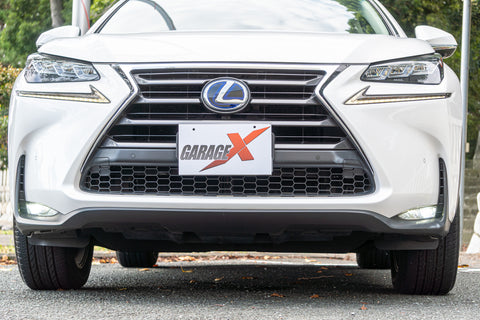 Leuxs NX- 300h Hybrid