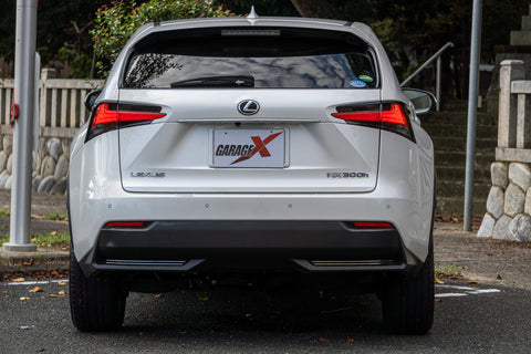 Leuxs NX- 300h Hybrid