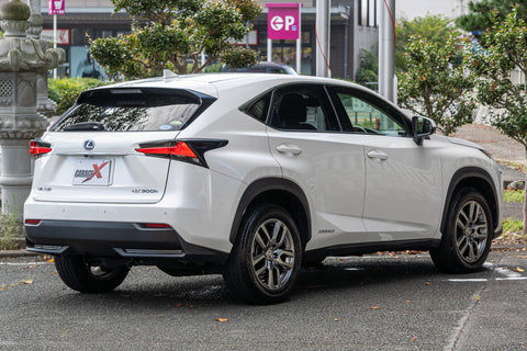 Leuxs NX- 300h Hybrid