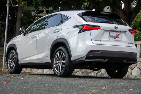 Leuxs NX- 300h Hybrid
