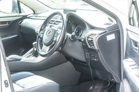Leuxs NX- 300h Hybrid