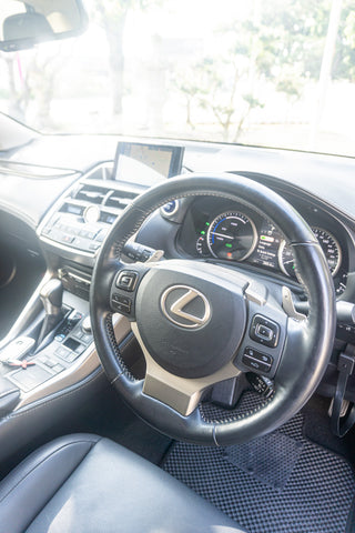 Leuxs NX- 300h Hybrid