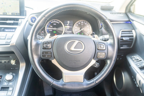 Leuxs NX- 300h Hybrid