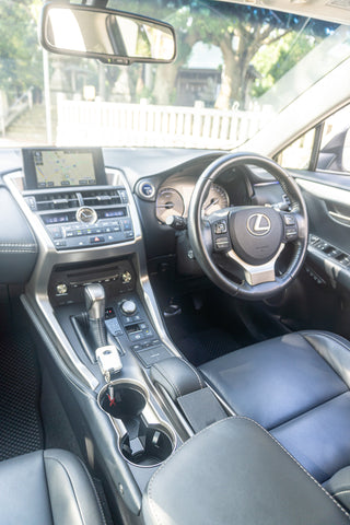 Leuxs NX- 300h Hybrid