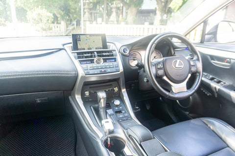 Leuxs NX- 300h Hybrid