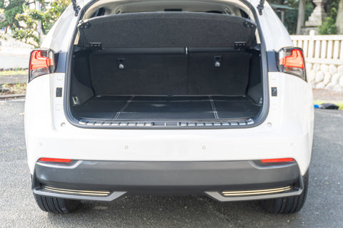 Leuxs NX- 300h Hybrid