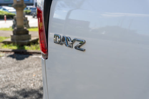 Dayz - Custom